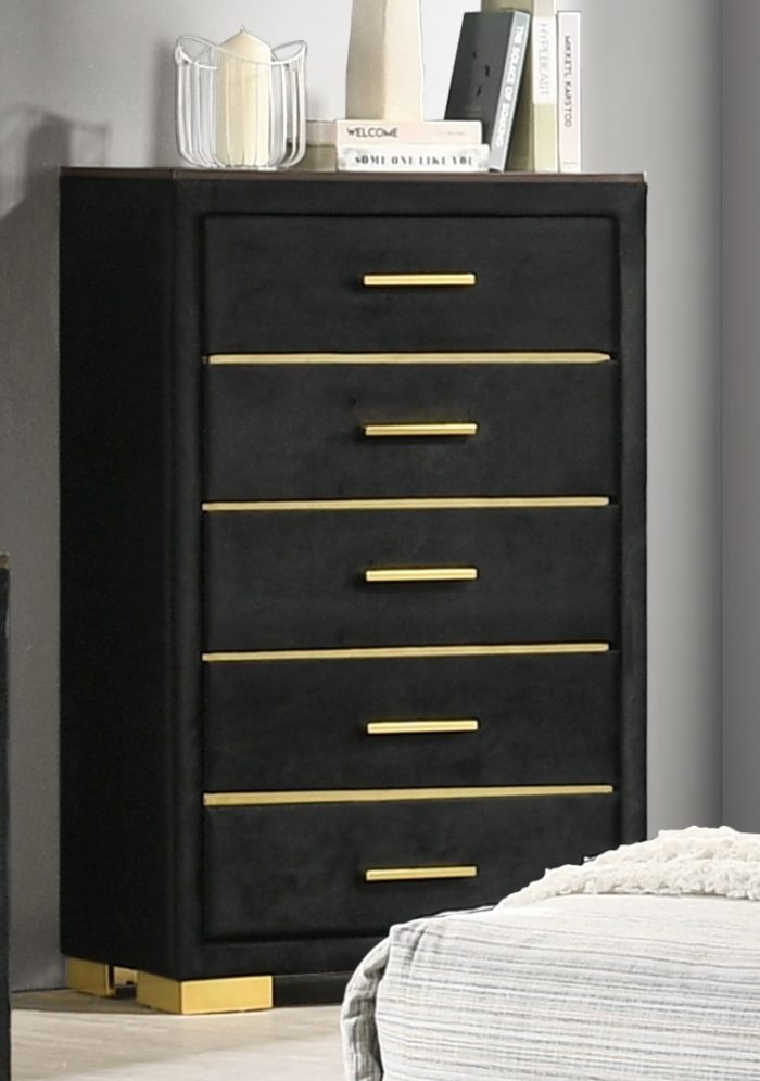 CL-IF100 Chest-B1